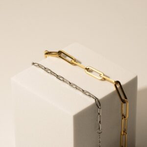 Paperclip Chain Essential Bracelet